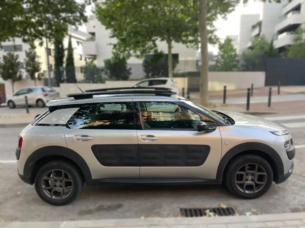 CITROEN c4 cactus de segunda mano | Clidrive
