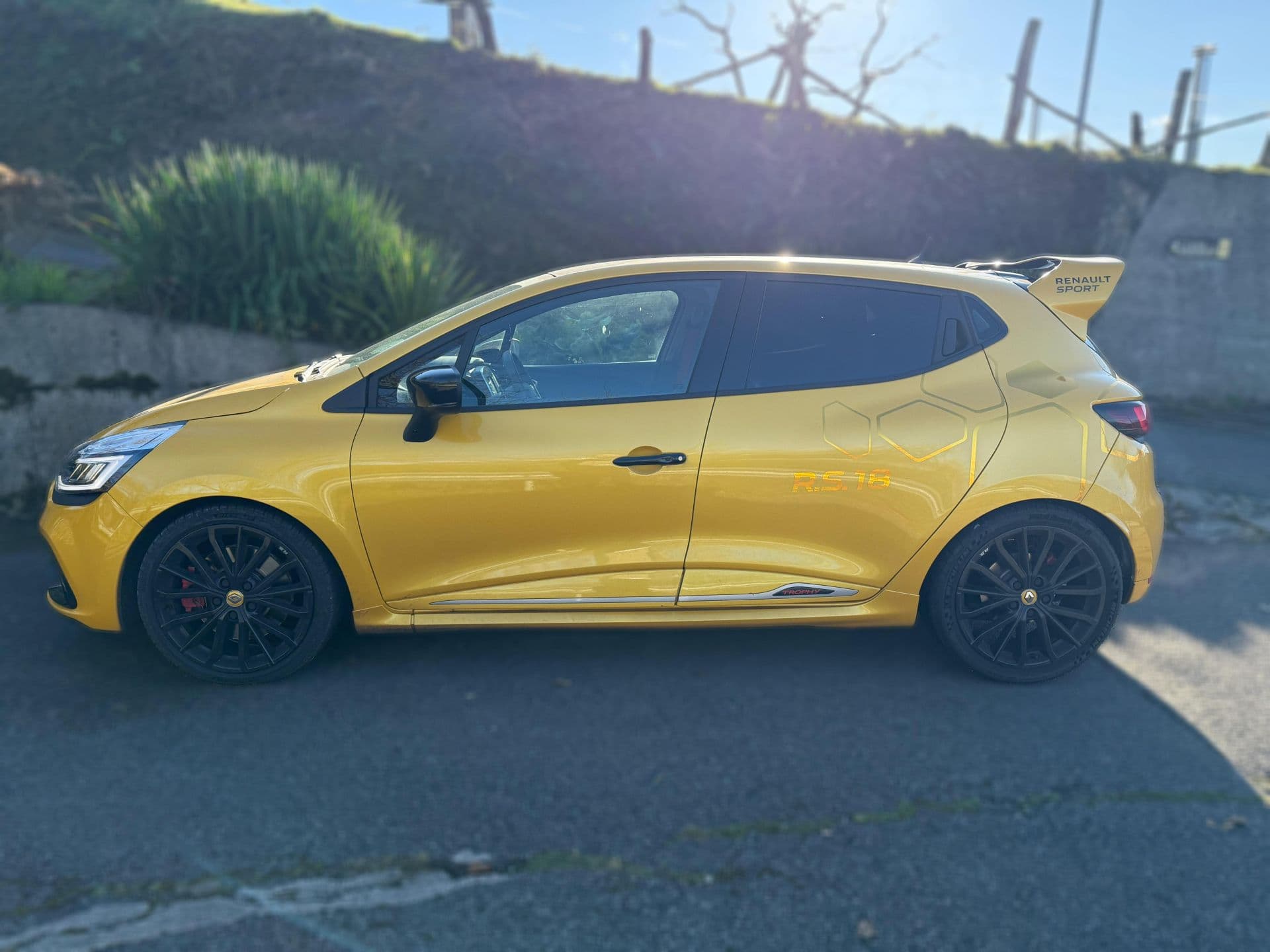 RENAULT clio