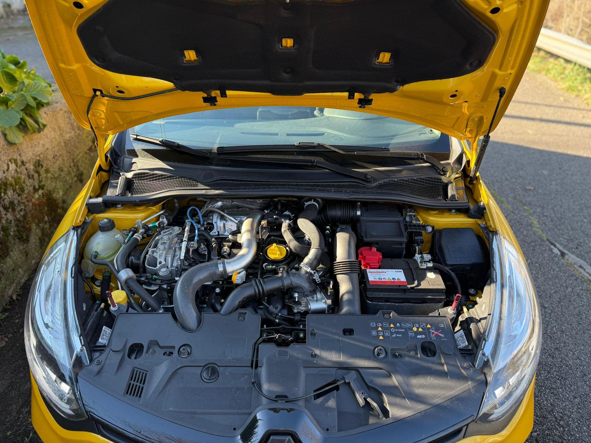 RENAULT clio