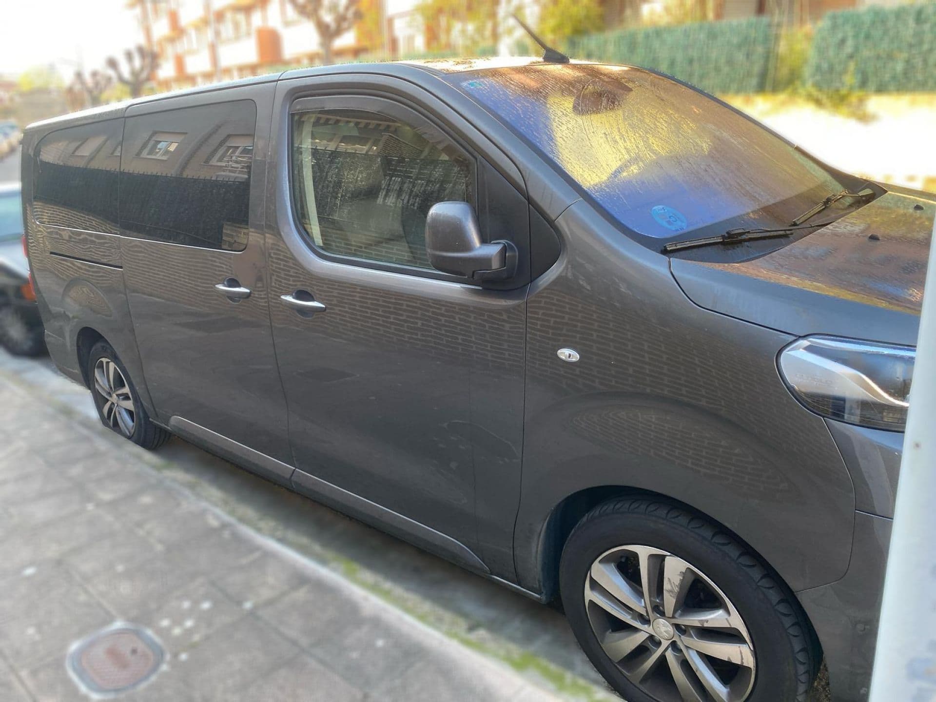 PEUGEOT traveller