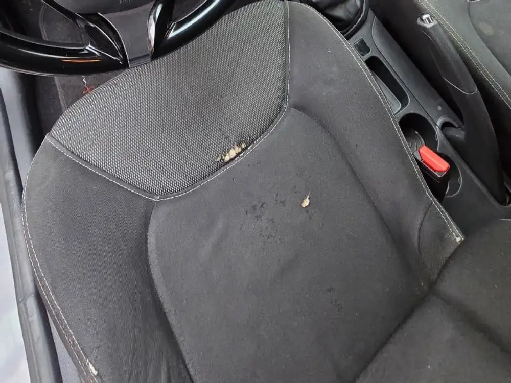 RENAULT clio de segunda mano | Clidrive