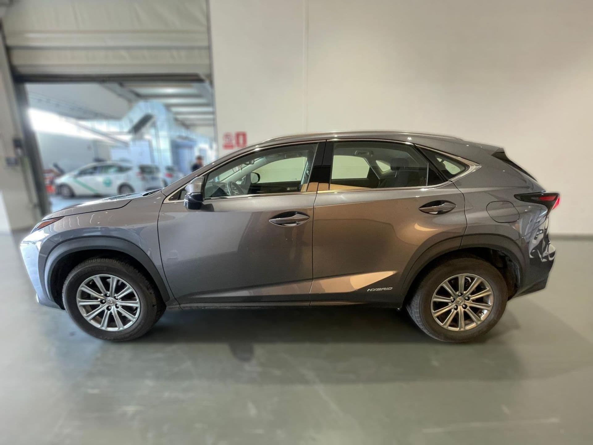 LEXUS nx
