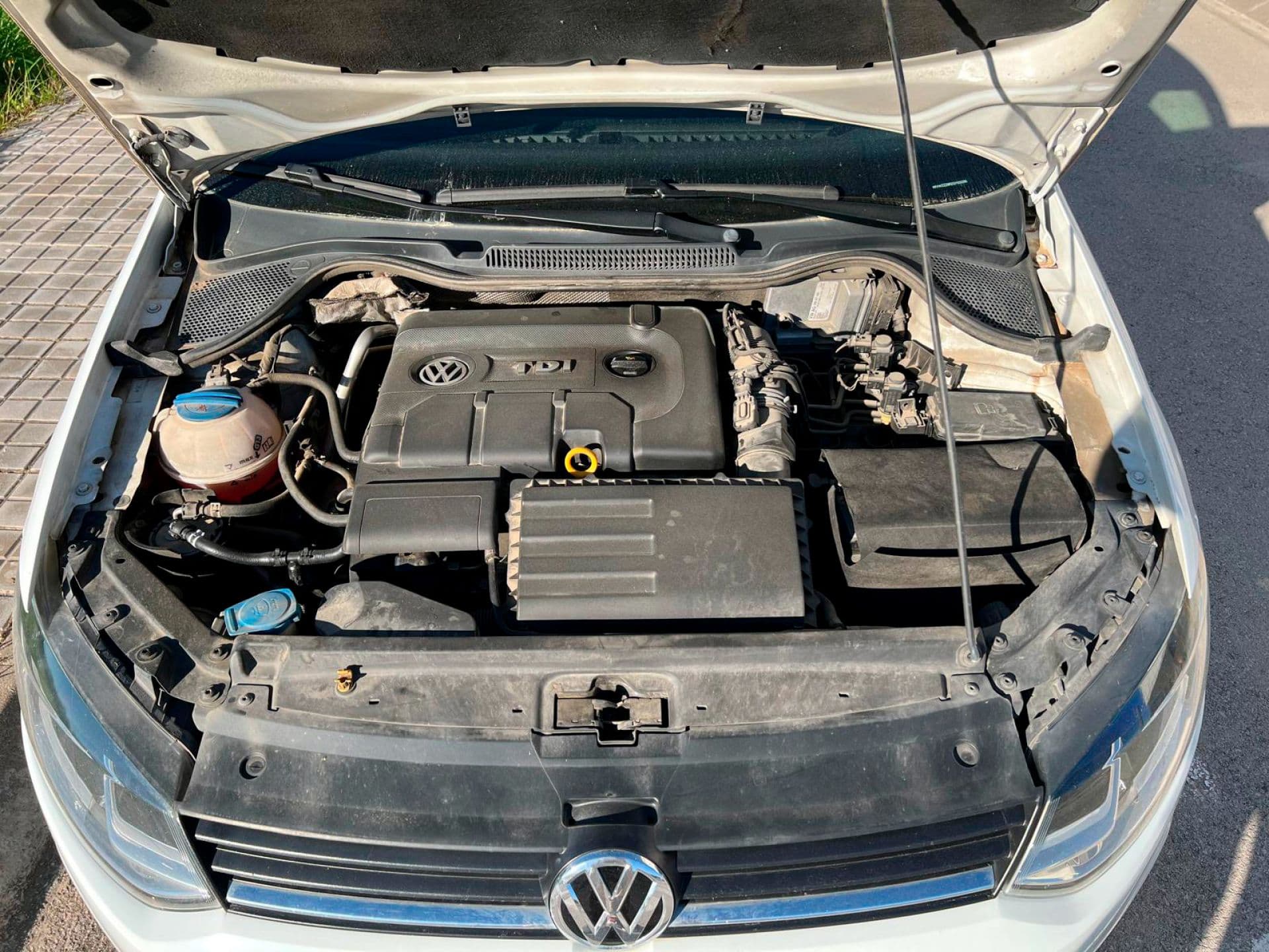 VOLKSWAGEN polo