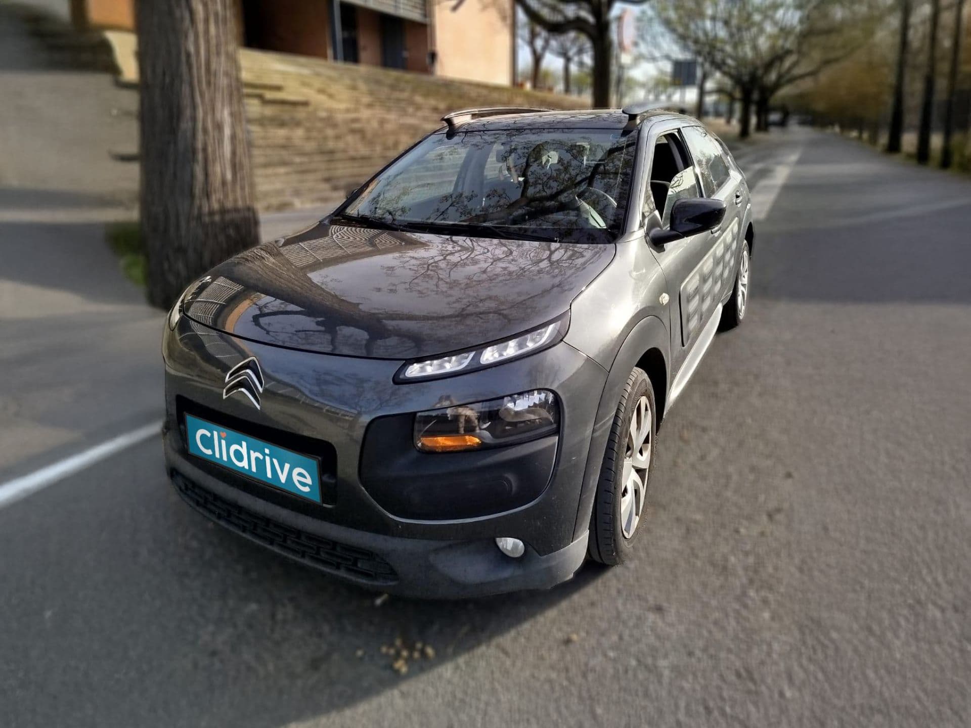 CITROEN c4 cactus