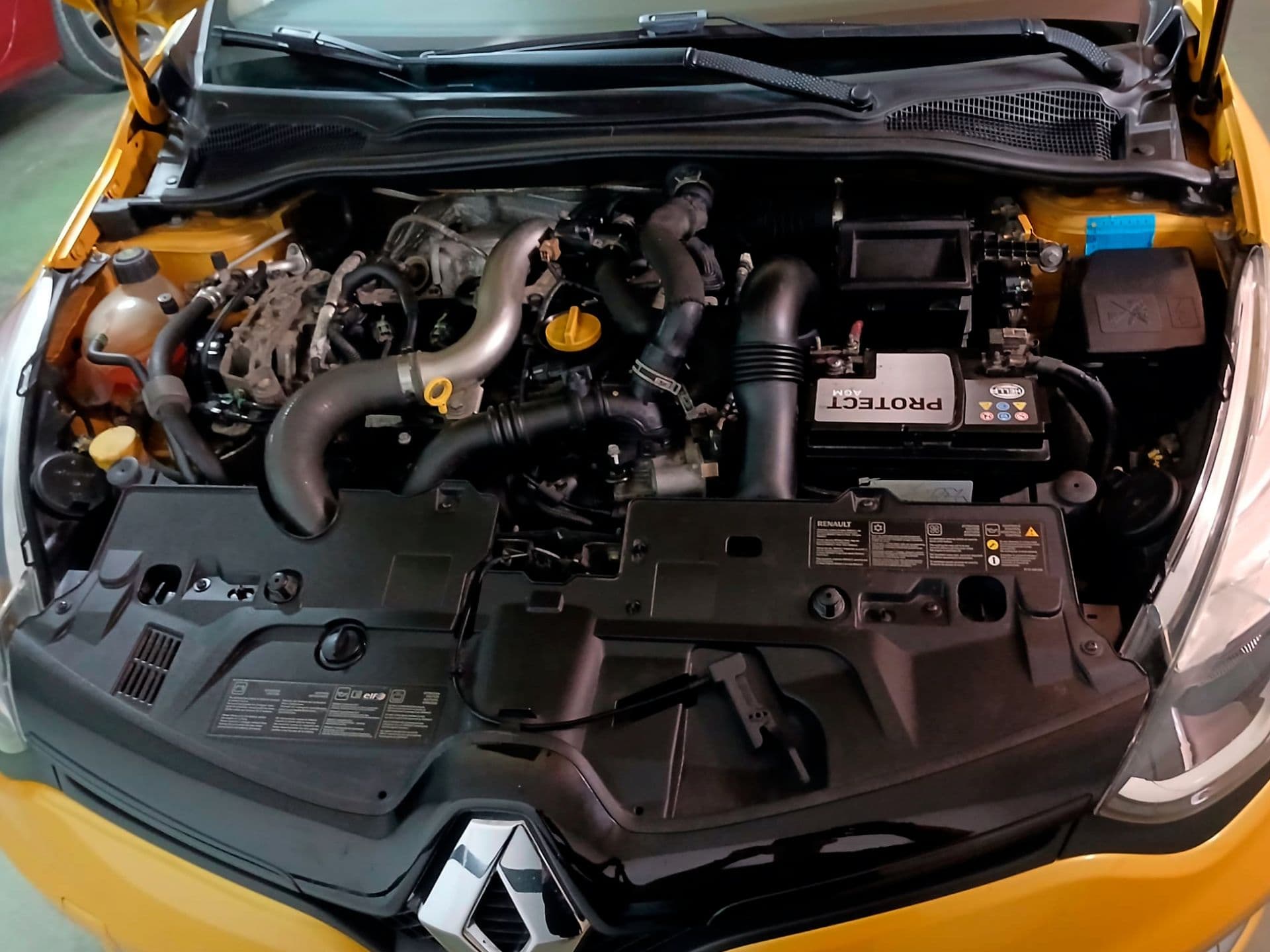 RENAULT clio