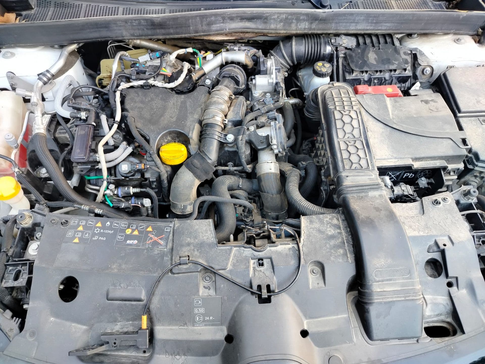 RENAULT megane
