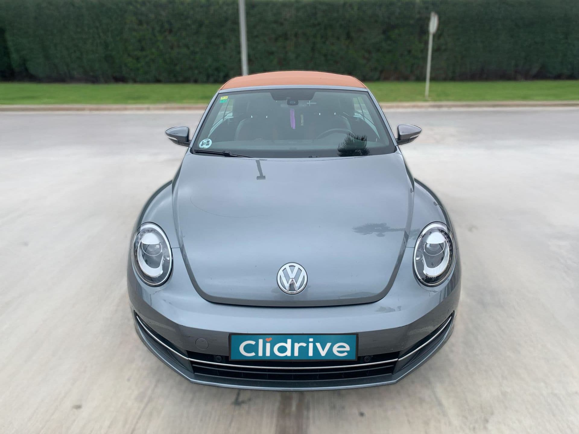 VOLKSWAGEN beetle