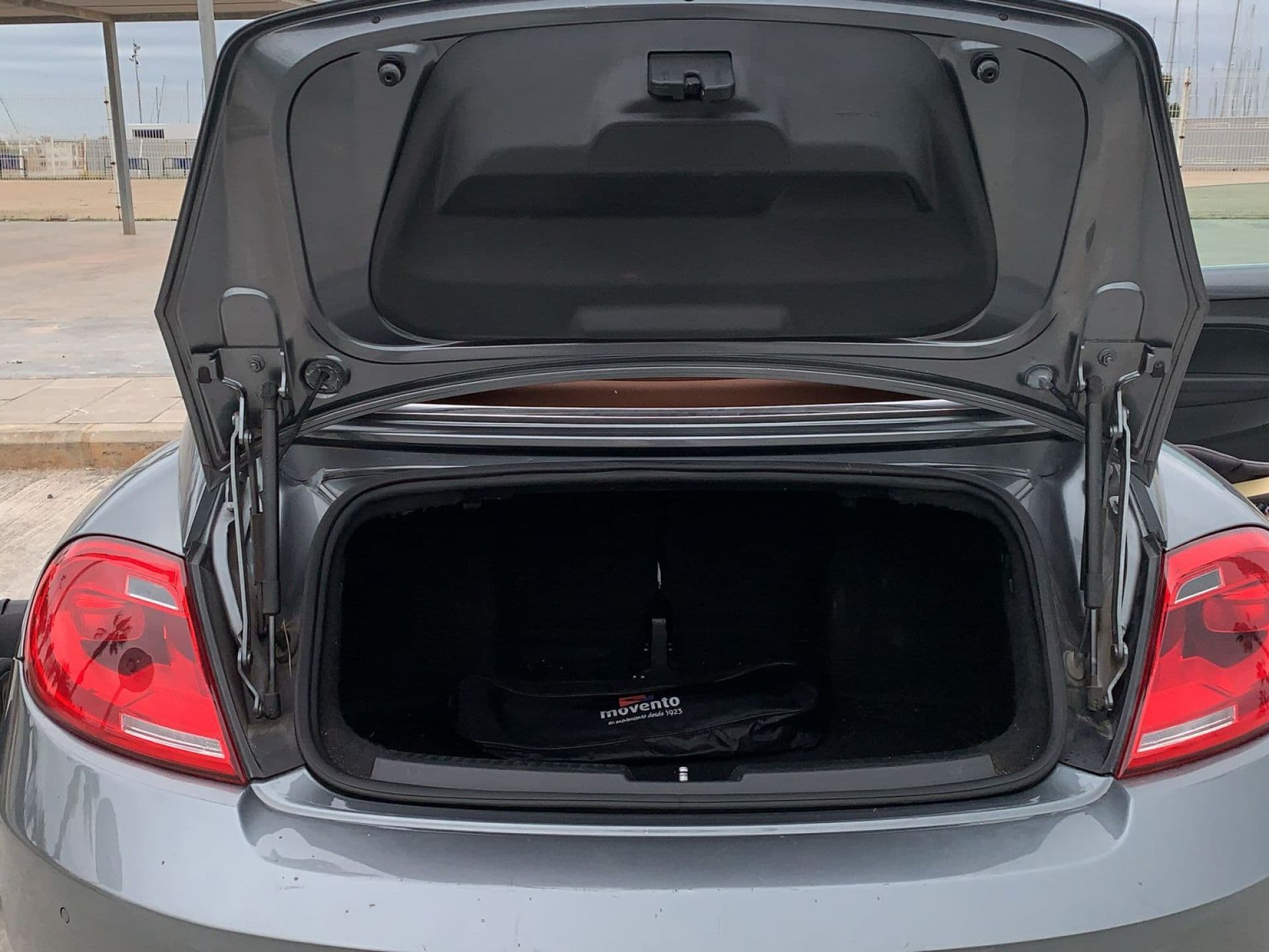 VOLKSWAGEN beetle