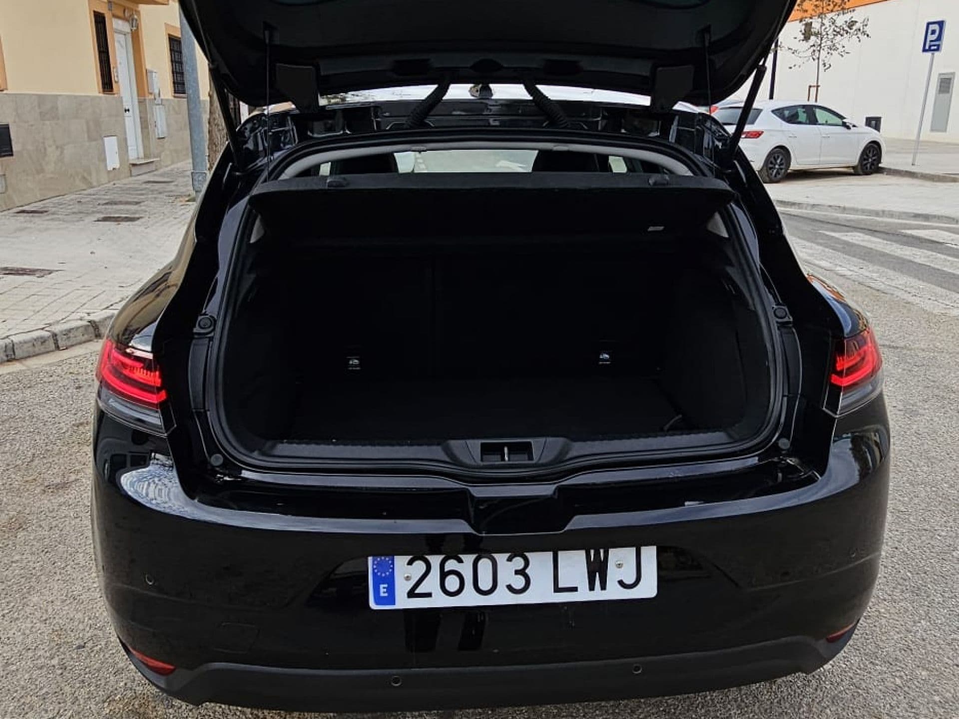 RENAULT megane