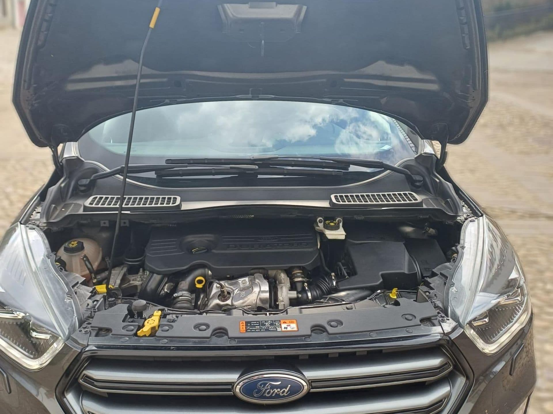 FORD kuga