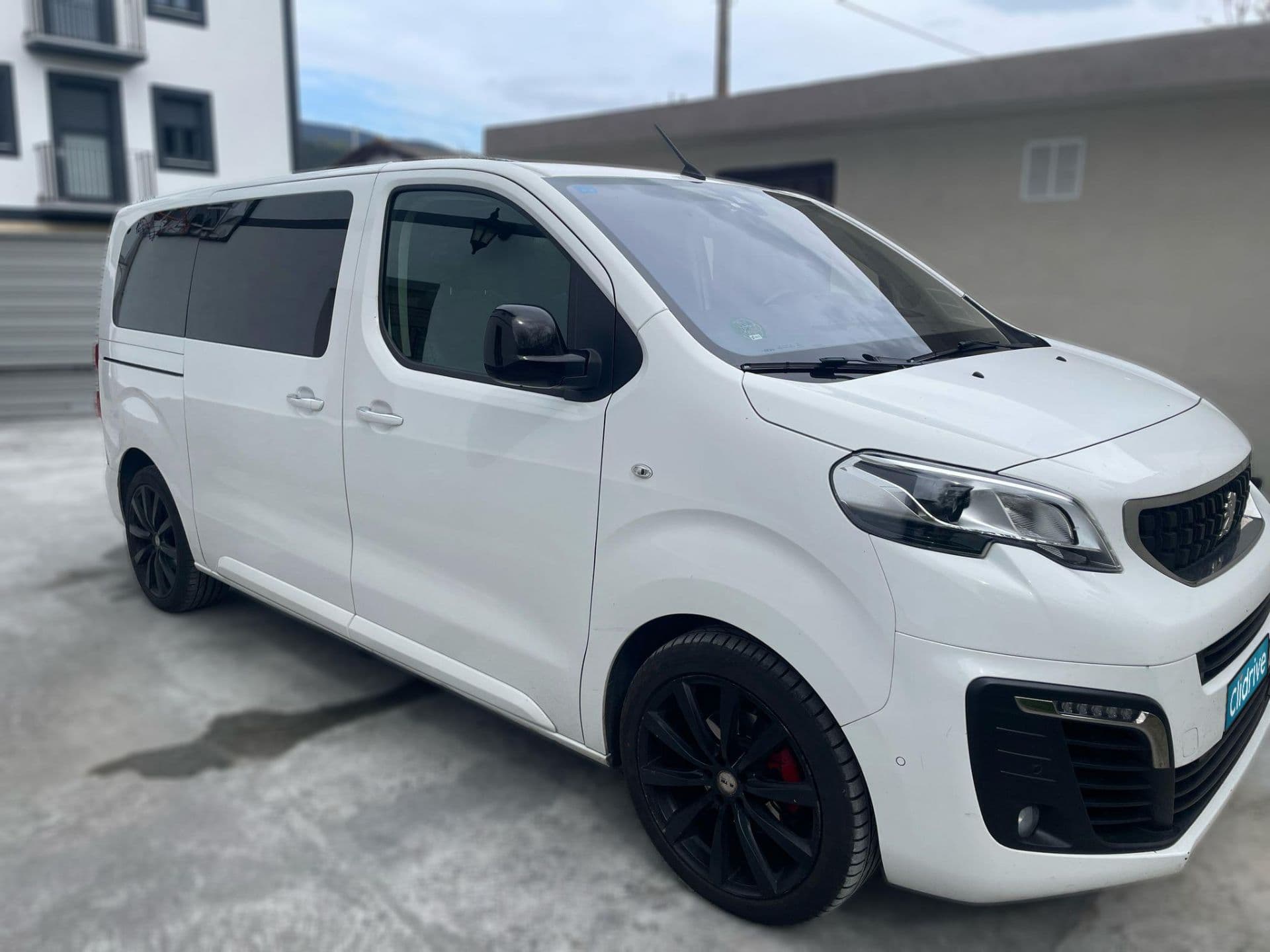 PEUGEOT traveller