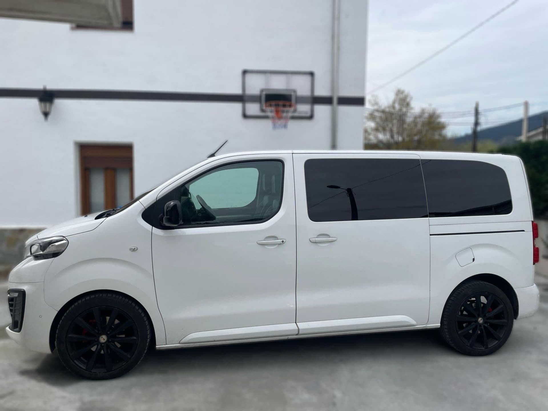 PEUGEOT traveller
