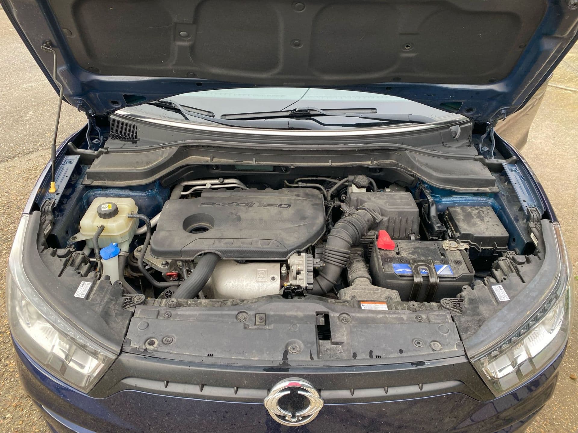 SSANGYONG tivoli