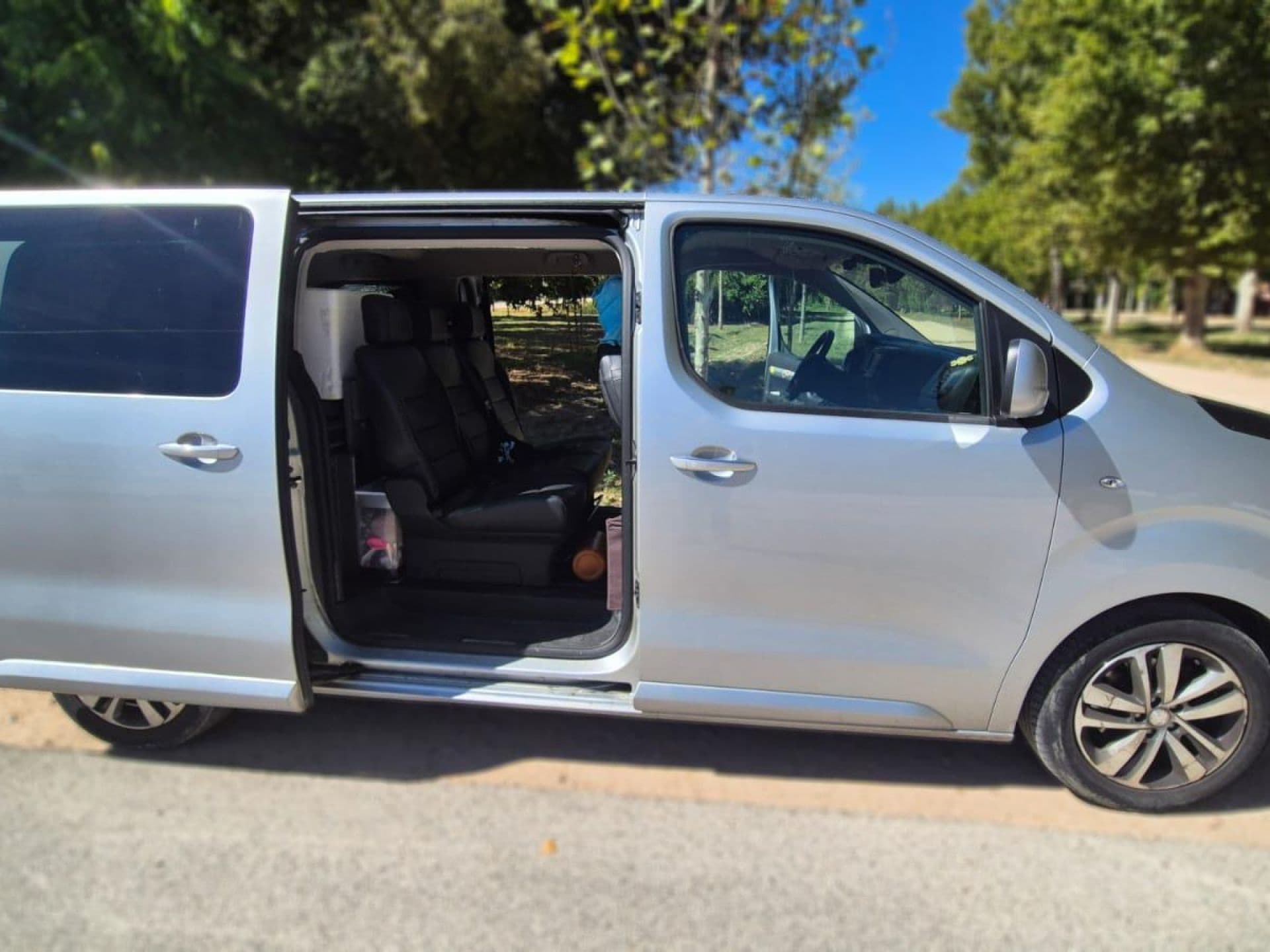 PEUGEOT traveller