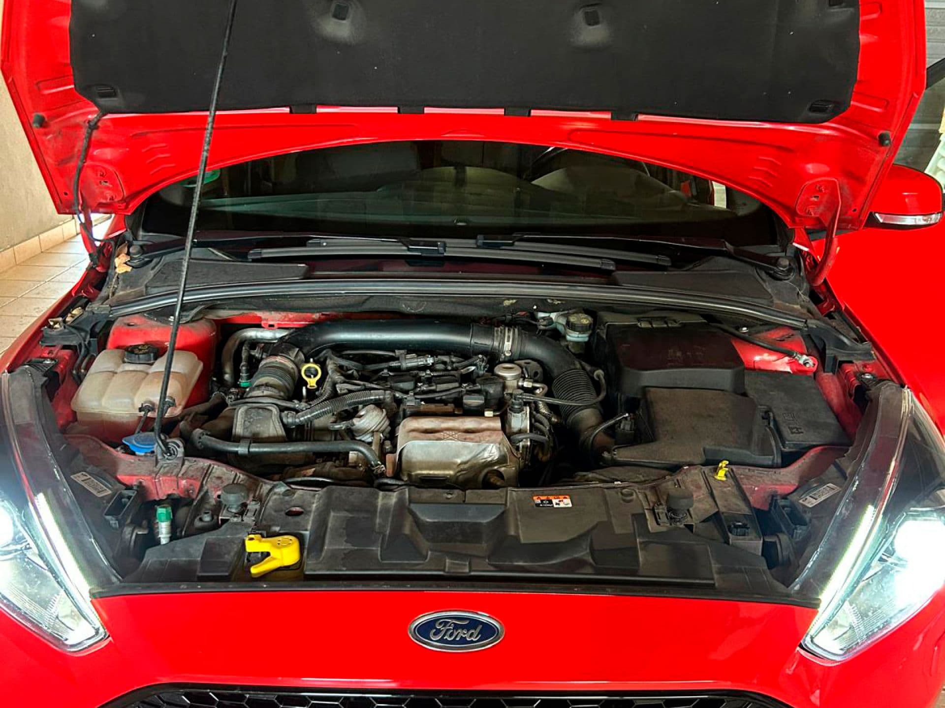 FORD focus