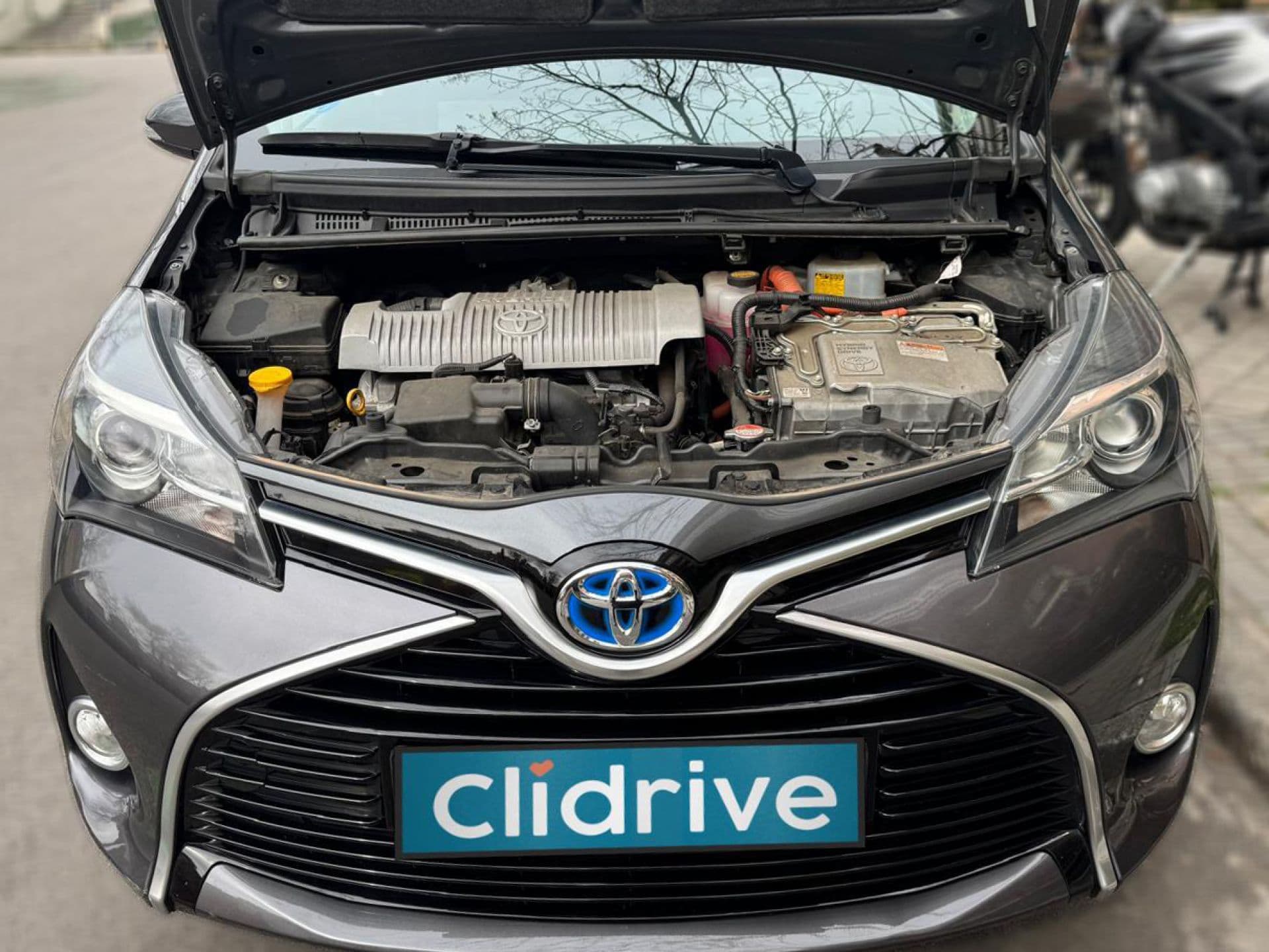 TOYOTA yaris