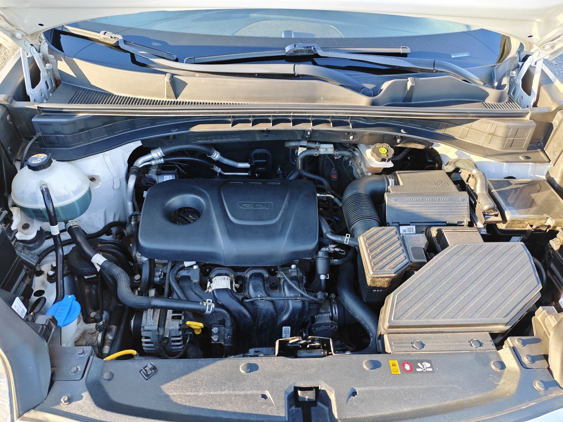 KIA sportage